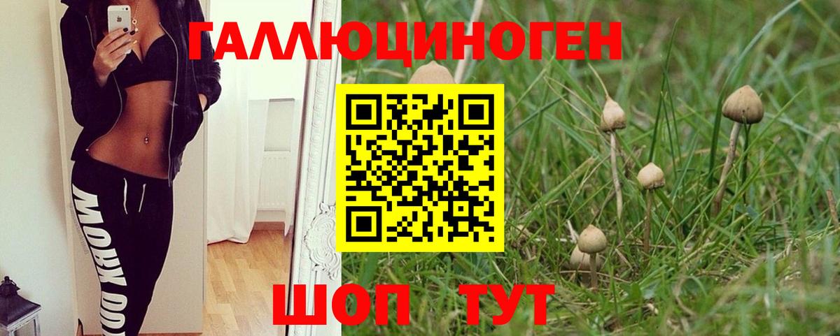 как найти наркотики  Псилоцибиновые грибы Magic Shrooms  Вход с VPN  Нижневартовск 